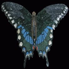 AN1017 Butterfly Passion Mosaic