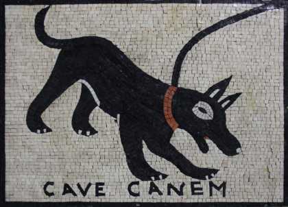 AN1118 Black Dog Cave Canem Mosaic