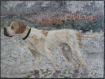 AN1129 Mosaic