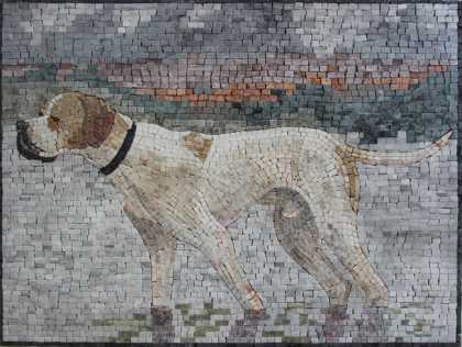 AN1129 Mosaic
