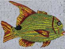 AN1234 Cool Colorful Fish Pool Bathroom  Mosaic