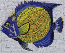 AN1236 Cool Funky Colorful Fish Pool Bathroom  Mosaic