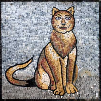 AN126 Golden cat  Mosaic