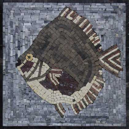 Silver Dollar Fish Mosaic