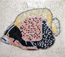 Mosaic Fish in Pastel