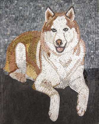 AN254 brown & white dog on grey background Mosaic