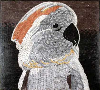 AN275 Parrot Head Mosaic