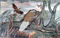 AN314 Flying eagle landscape Mosaic