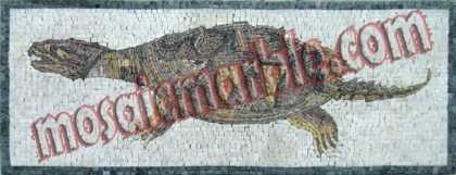 AN376(Polished Rug) Mosaic