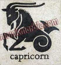 AN423(Capricorn Mosaic)