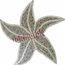 AN474 Whit starfish on black background