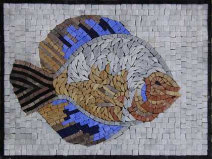 AN544 Beautifully colored fish Mosaic