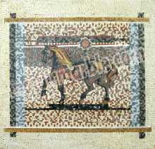 AN627 Horse colorful art design