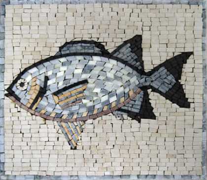 AN88 Fish stone Mosaic