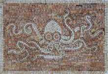 AN925 Octopus Ocean Life
