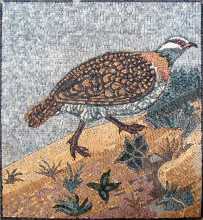 AN98 bird walking on sand Mosaic