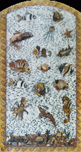 CR347 Rectangular sea life Mosaic