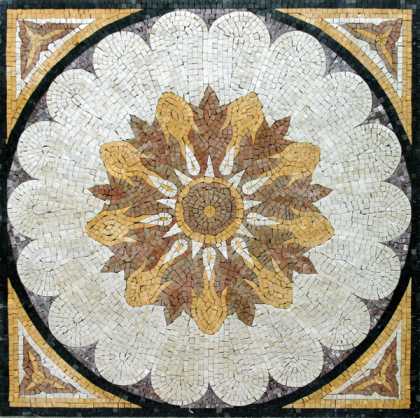 GEO323 Mosaic