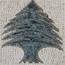 GEO333