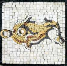 IN137 Mosaic