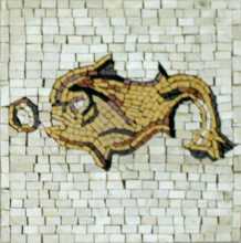 IN144 Mosaic