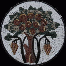 IN157 Mosaic