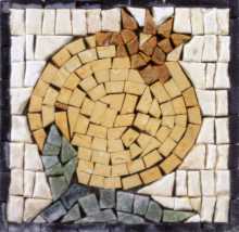 Large Yellow Pomegranate Square Backsplash Mosaic