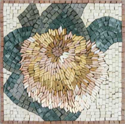 IN209 Mosaic