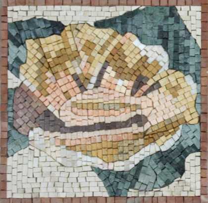 IN210 Mosaic