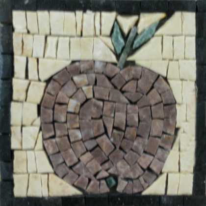 Large Apple Square Kitchen Backsplash Mosaic