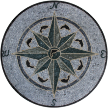Green and Grey Dolphin Compass