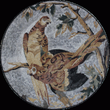 Round Parrots Exotic Mosaic Collection