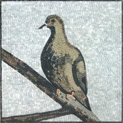 Square Pigeon Mosaic Mural