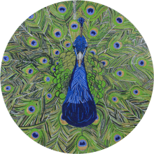 Luxury Mosaic Tiles Peacock Pattern