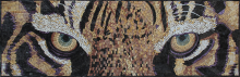 Tiger Eyes Detail Mosaic Art